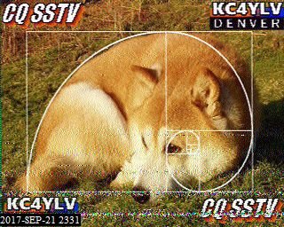 My SSTV images from the far side
